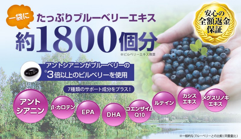 �k�̍��u���[�x���[���T�C�g